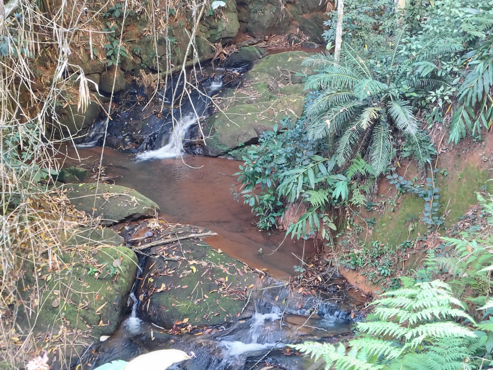 whatsapp image 2025 09 02 at 13.39.13