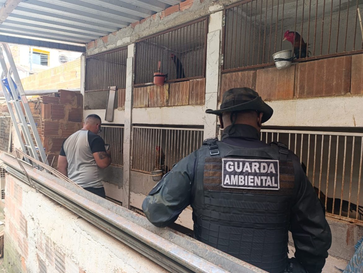 whatsapp image 2025 09 03 at 16.43.32