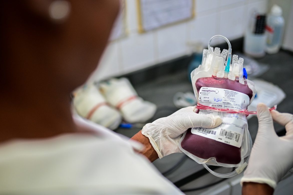 whatsapp image 2025 09 08 at 15.15.36