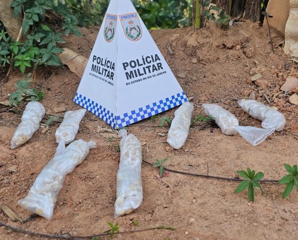 whatsapp image 2025 09 11 at 06.38.03