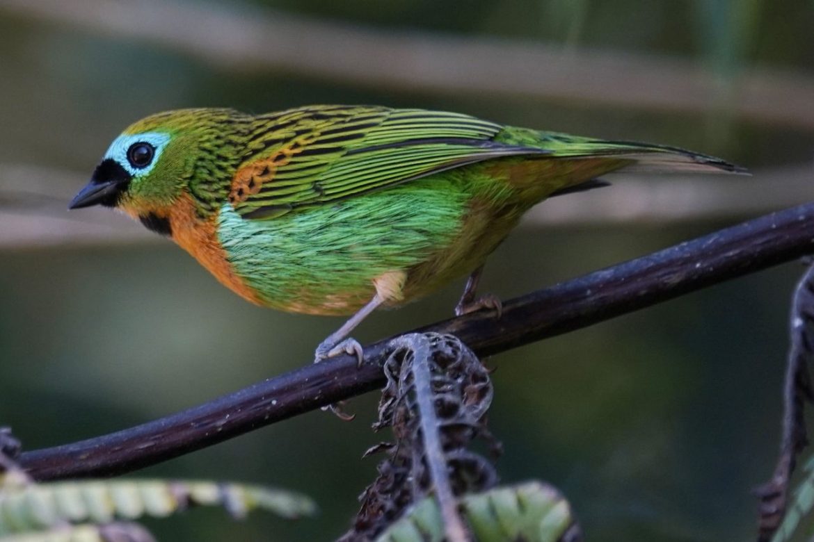 whatsapp image 2025 09 18 at 10.04.39 (1)