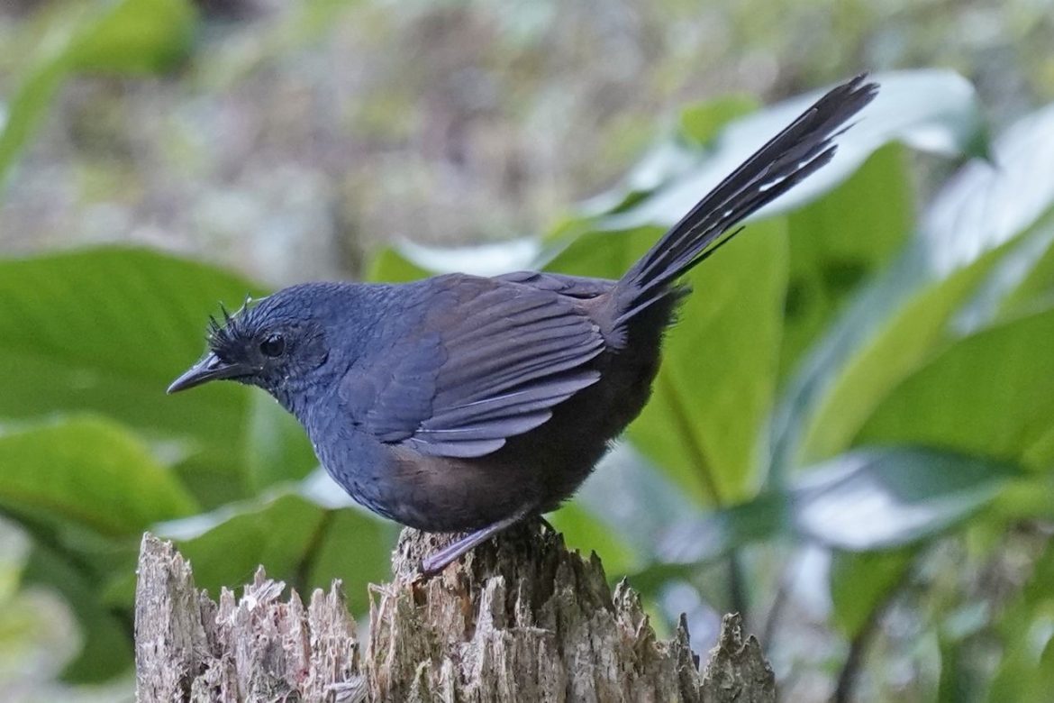 whatsapp image 2025 09 18 at 10.04.40 (1)