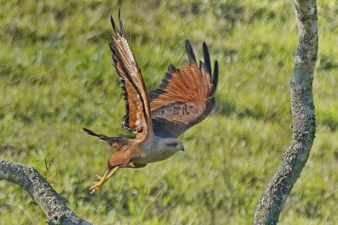 whatsapp image 2025 09 18 at 10.04.40