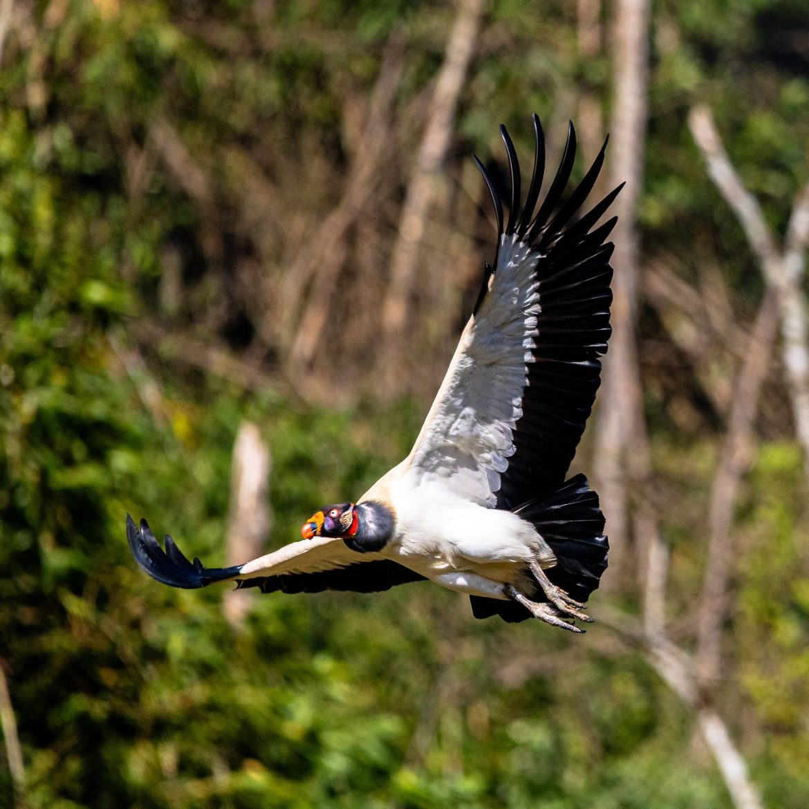 whatsapp image 2025 09 18 at 10.04.41 (1)