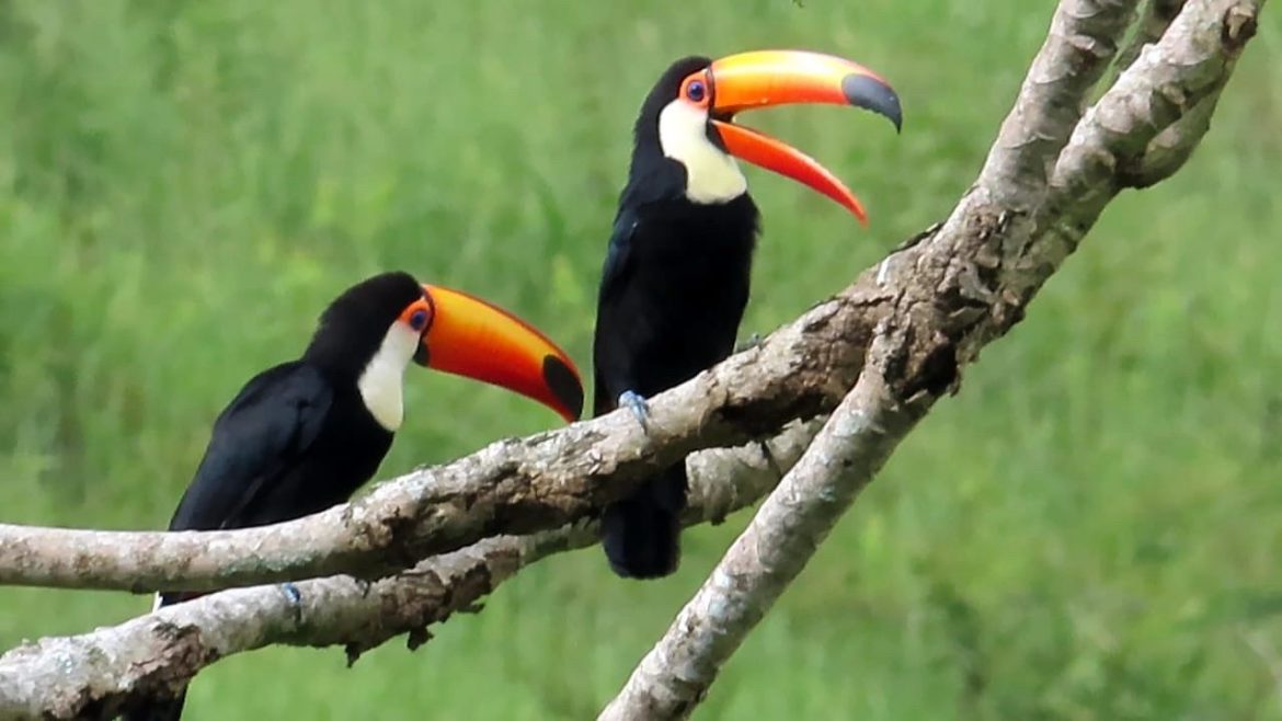 whatsapp image 2025 09 18 at 10.04.41