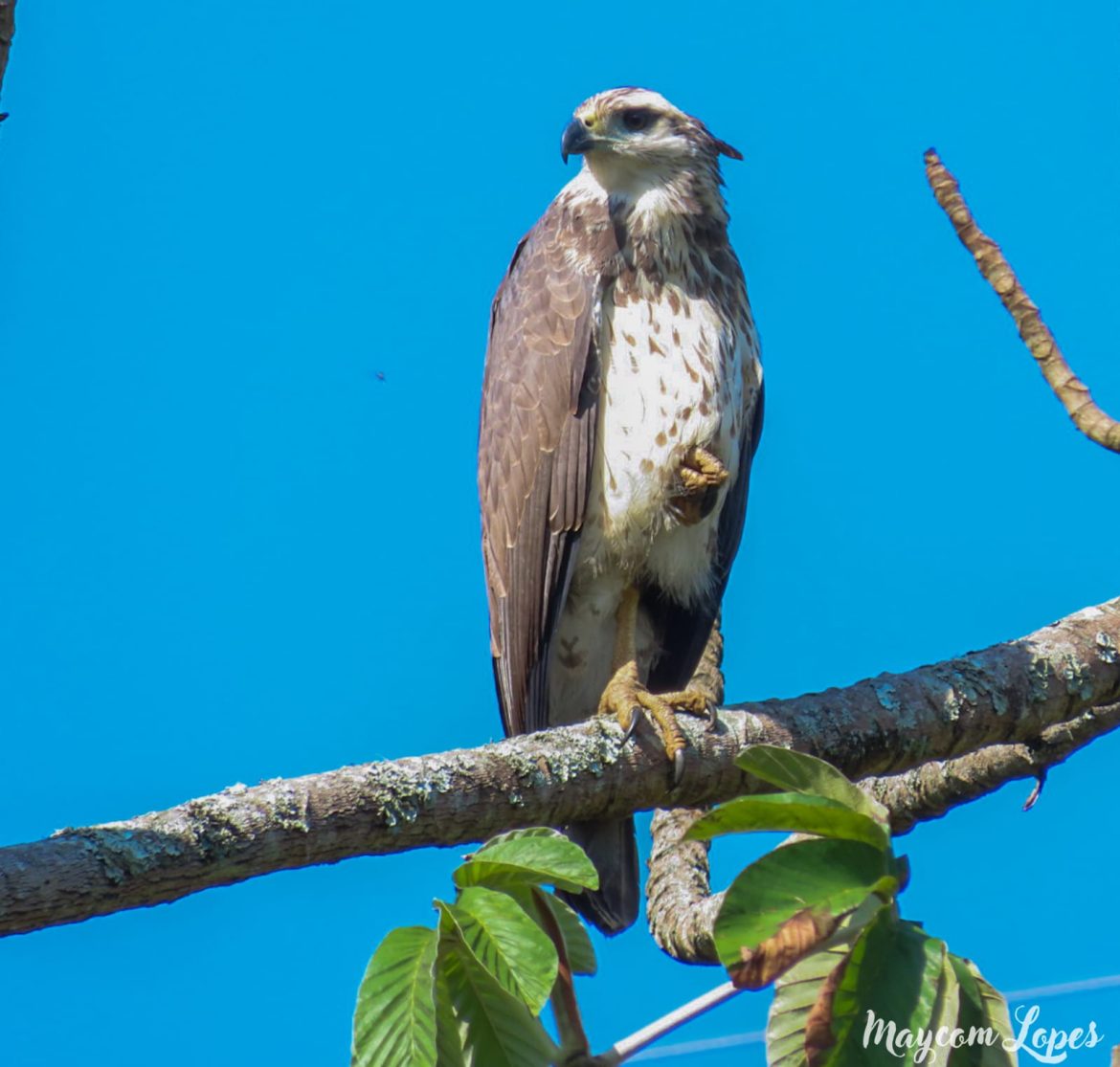 whatsapp image 2025 09 18 at 10.04.58