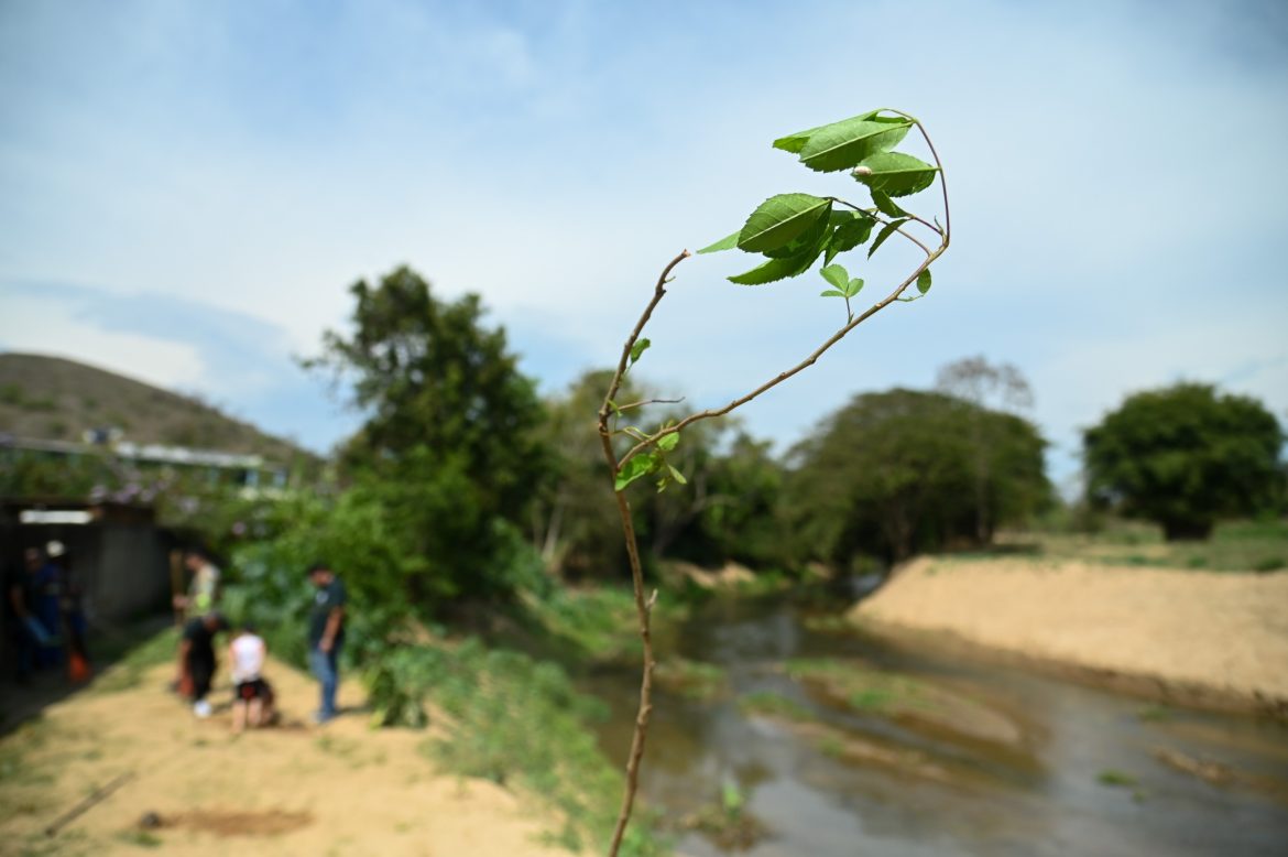 whatsapp image 2025 09 22 at 14.11.53 whatsapp image 2025 09 22 at 14.11.53