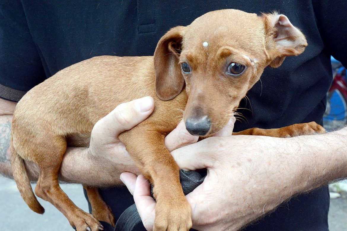 whatsapp image 2025 09 23 at 15.15.51 (1) whatsapp image 2025 09 23 at 15.15.51 (1)