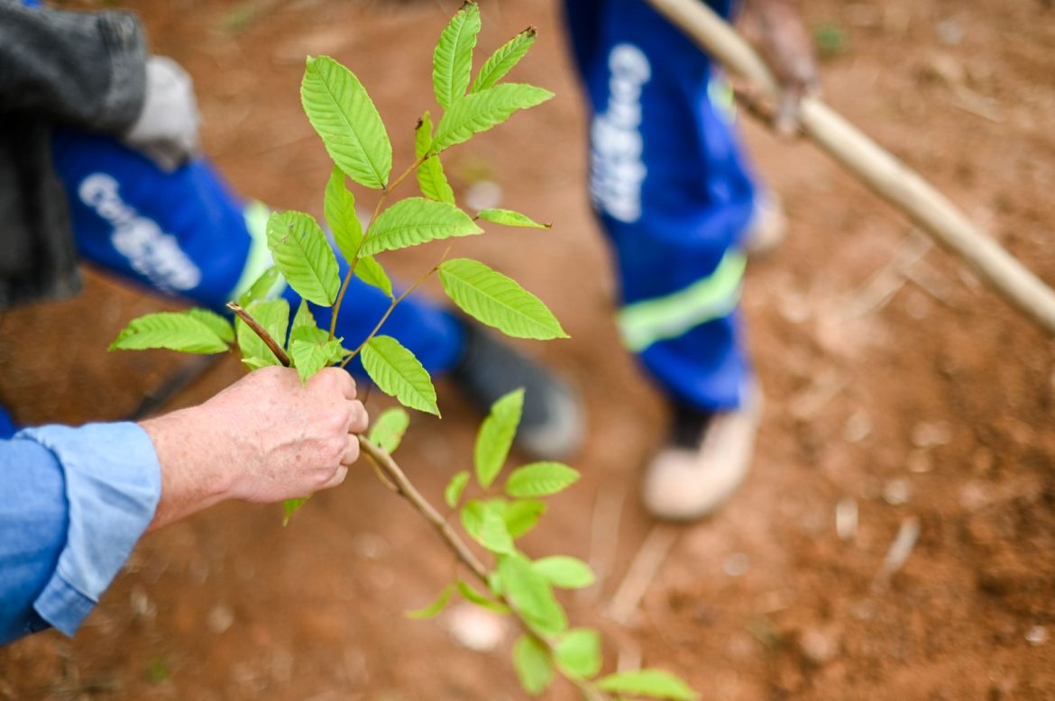 whatsapp image 2025 09 25 at 13.47.42 whatsapp image 2025 09 25 at 13.47.42