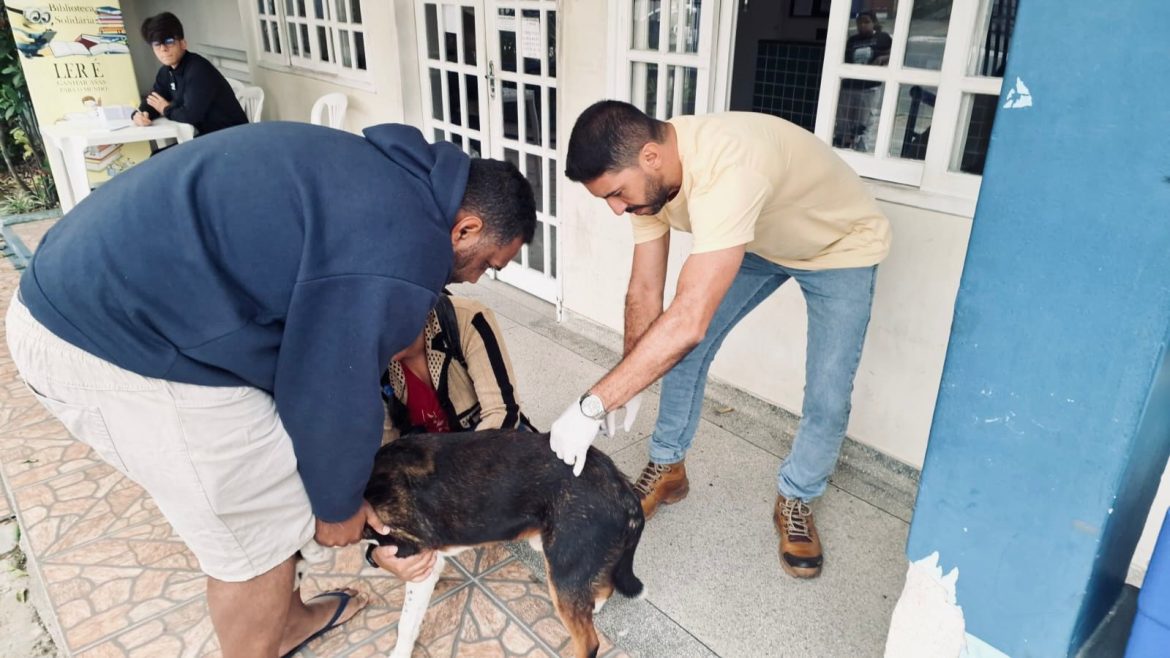 whatsapp image 2025 09 29 at 11.04.43