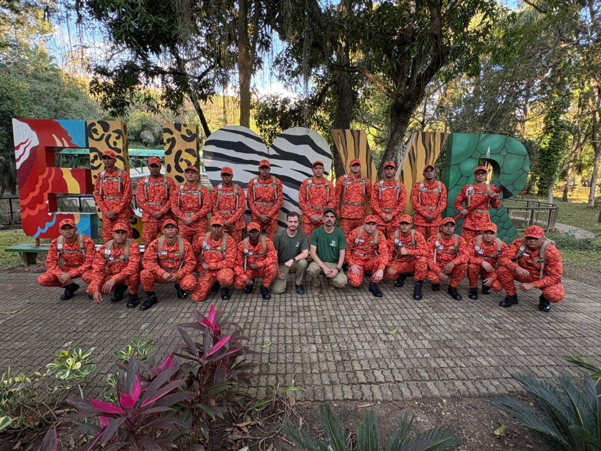 zoológico de volta redonda capacita corpo de bombeiros para manejo e captura de animais silvestres divulgação pmvr