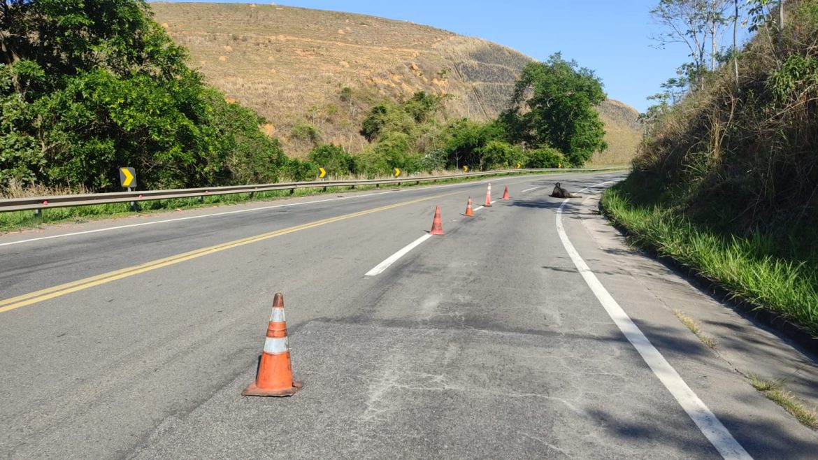 0cd05fe1 1b28 4161 852d fd8732ad95d6