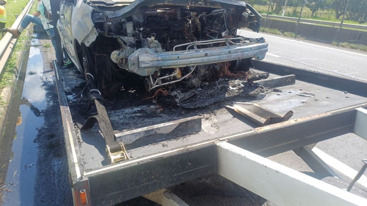 0ceb0ace f265 4f8a 8d1b ef5641c79d97