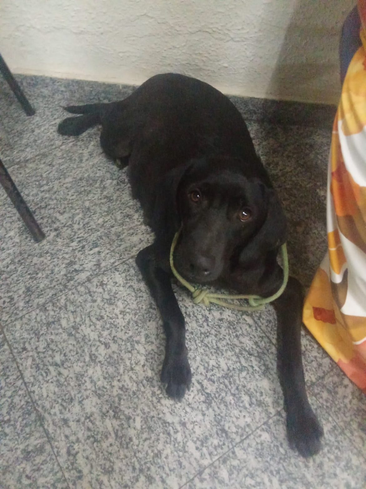 18.cf.res.polÍcia.polícia militar identifica suspeito após vídeo.divulgaÇÃopm