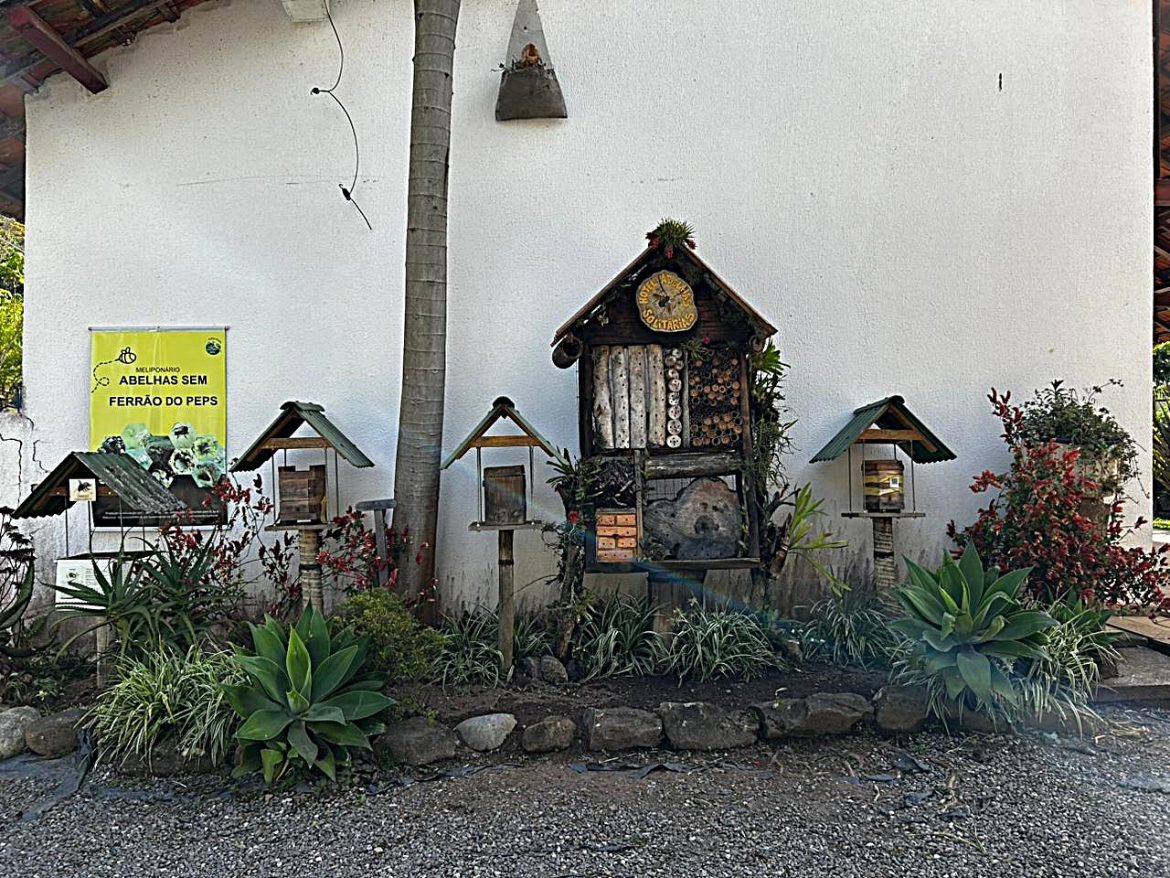 39.cf.res.cidades.abelhas sem ferrão.1.hotel.divulgaÇÃo