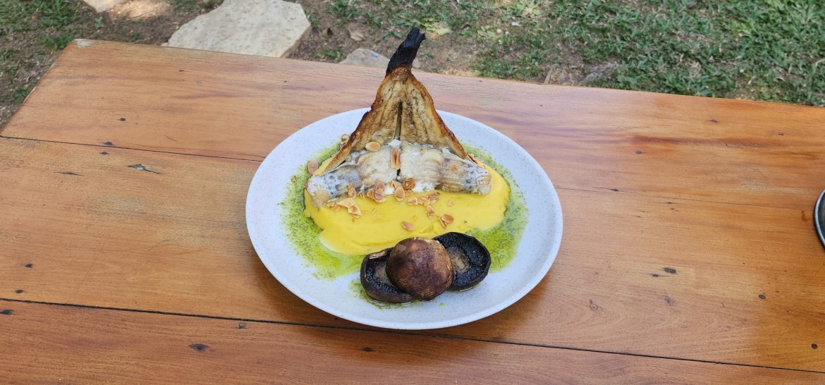 62.cf.res.economia.festival da truta movimenta gastronomia.3.truta.redessociais (4)