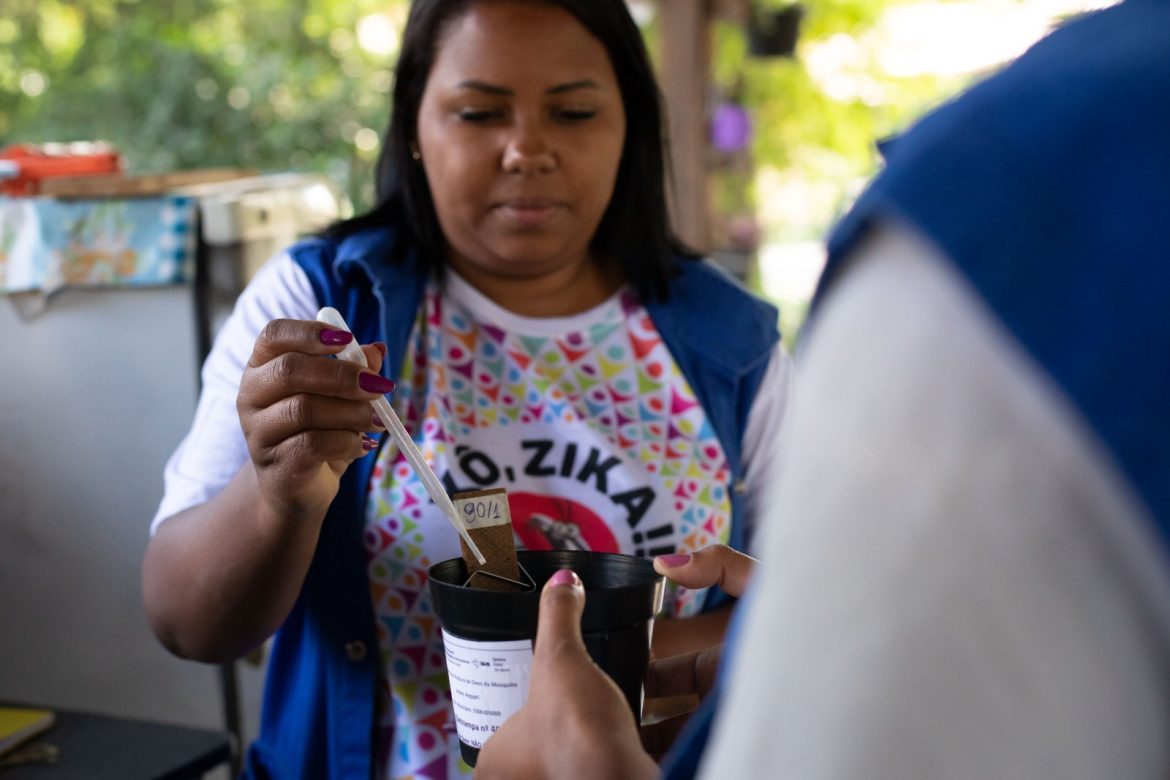 armadilha de monitoramento do mosquito da dengue é desenvolvida em volta redonda cris oliveira secom13