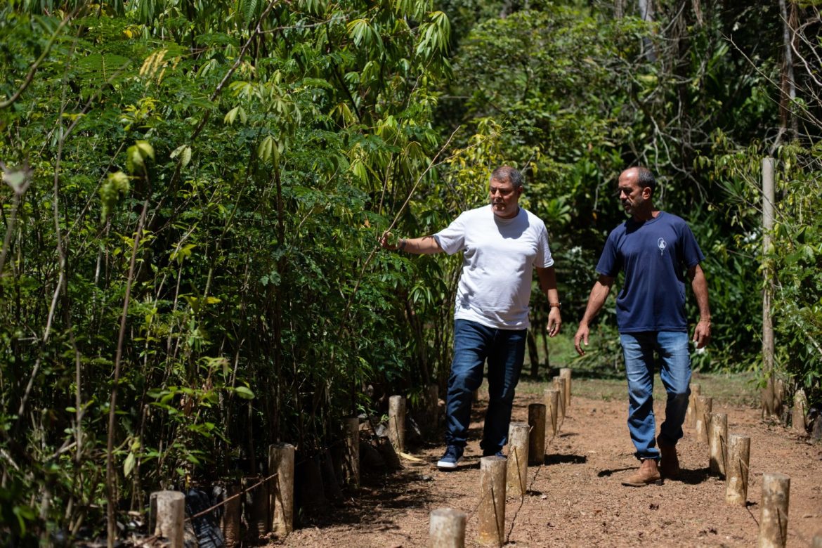 cms ecológico gera quase r$ 6 milhões arquivo cris oliveira