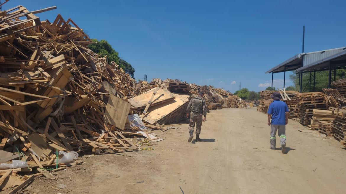 denúncia feita ao programa linha verde leva polícia a fiscalizar empresa em porto real divulgação