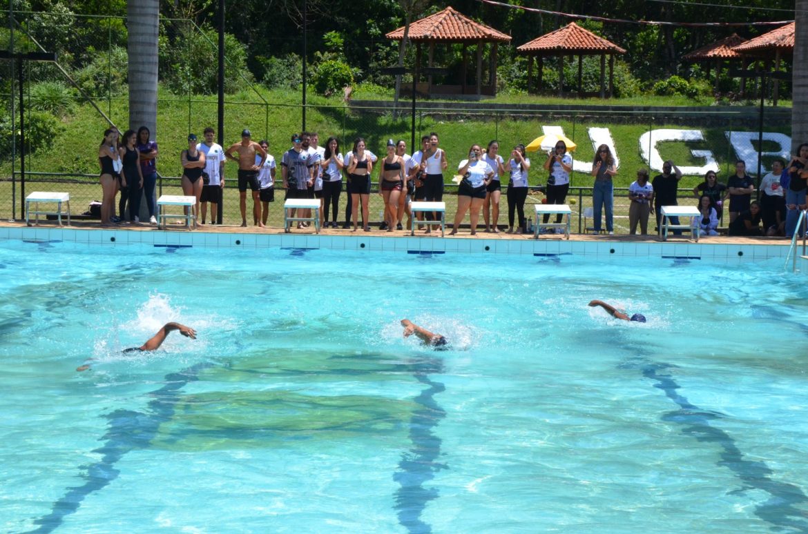 imagem do whatsapp de 2025 10 27 à(s) 13.37.56 2f7c1686