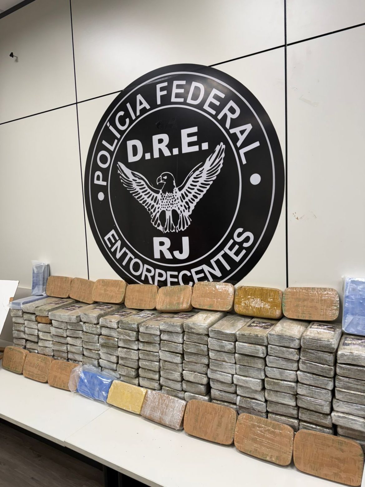 imagem do whatsapp de 2025 10 31 à(s) 17.27.24 7d81305b