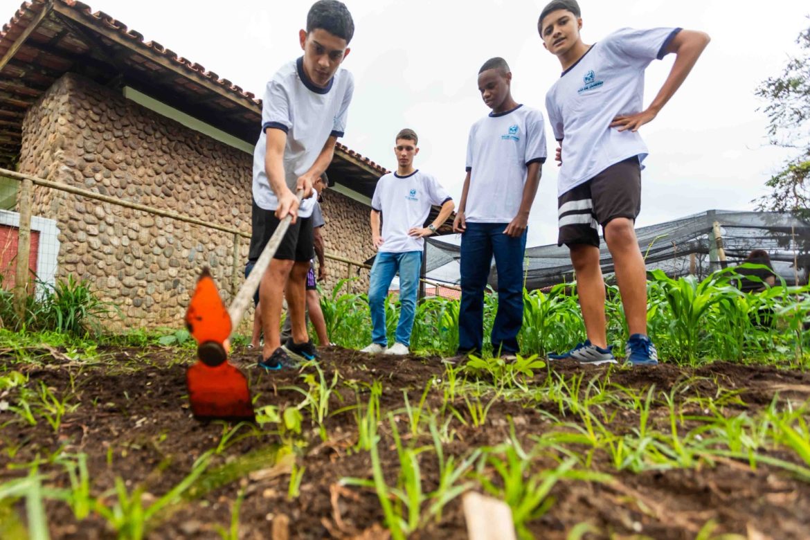 reflorestamento 2 reflorestamento 2