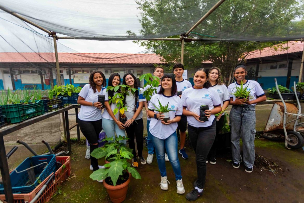 reflorestamento 4 reflorestamento 4