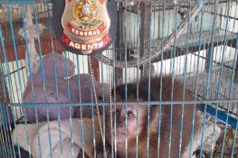 whatsapp image 2025 10 02 at 16.56.03