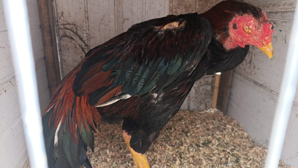 whatsapp image 2025 10 21 at 17.07.49 whatsapp image 2025 10 21 at 17.07.49