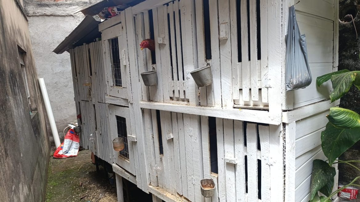 whatsapp image 2025 10 21 at 17.34.24 whatsapp image 2025 10 21 at 17.34.24