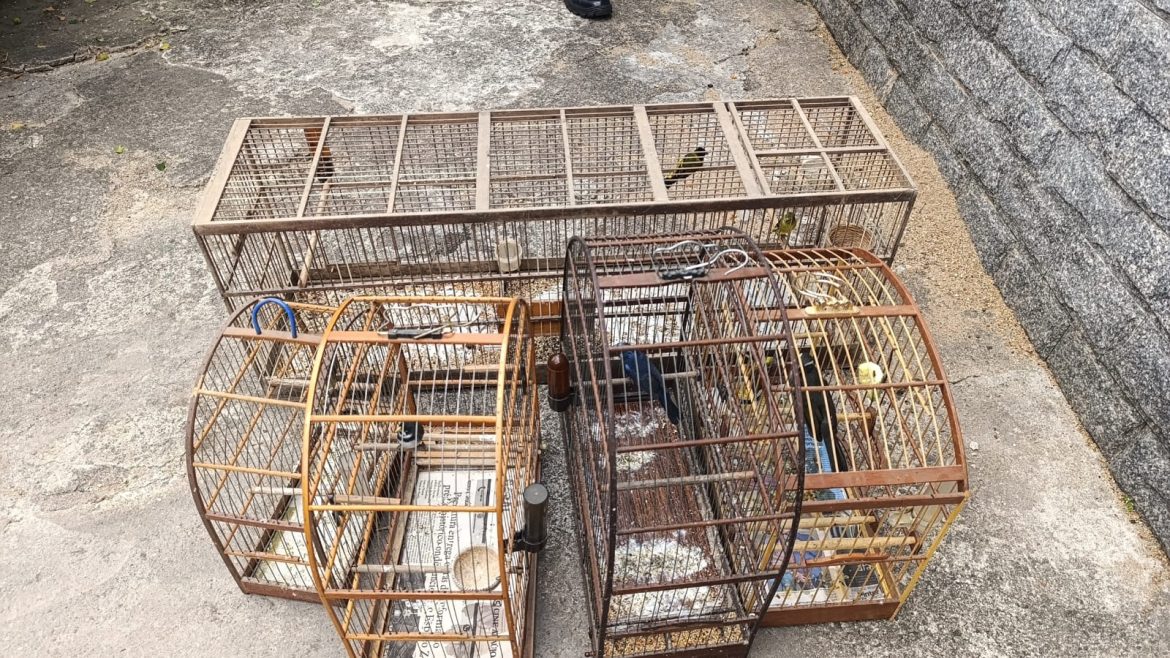 whatsapp image 2025 10 21 at 17.34.25 (1) whatsapp image 2025 10 21 at 17.34.25 (1)