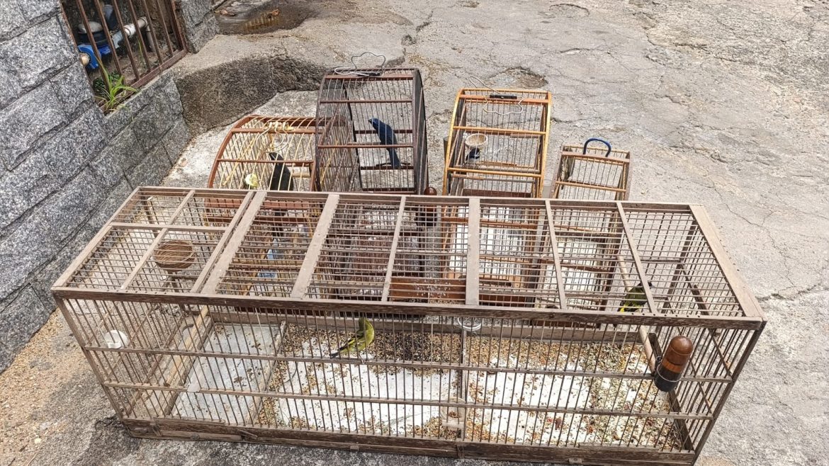 whatsapp image 2025 10 21 at 17.34.26 whatsapp image 2025 10 21 at 17.34.26