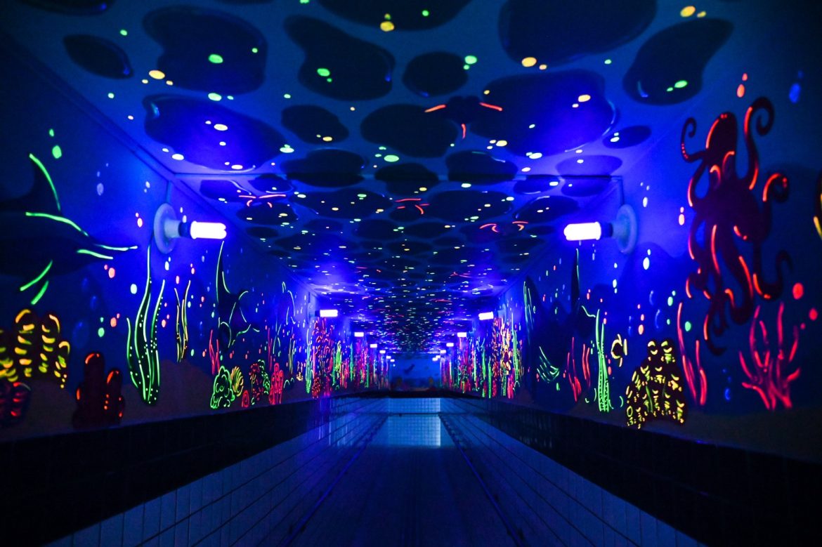 whatsapp image 2025 10 22 at 12.32.29 (1)