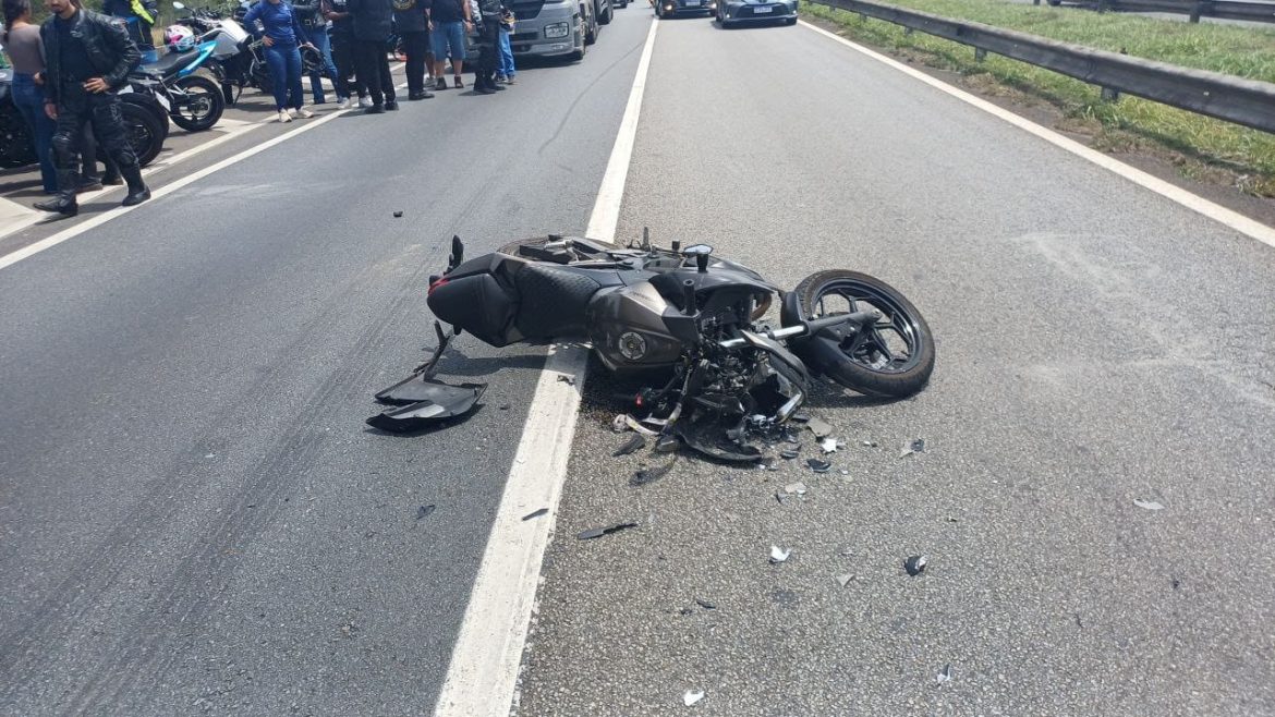 whatsapp image 2025 10 26 at 14.59.48