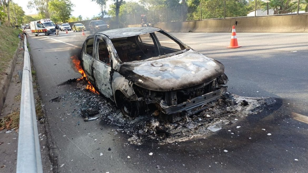 whatsapp image 2025 10 26 at 16.04.17