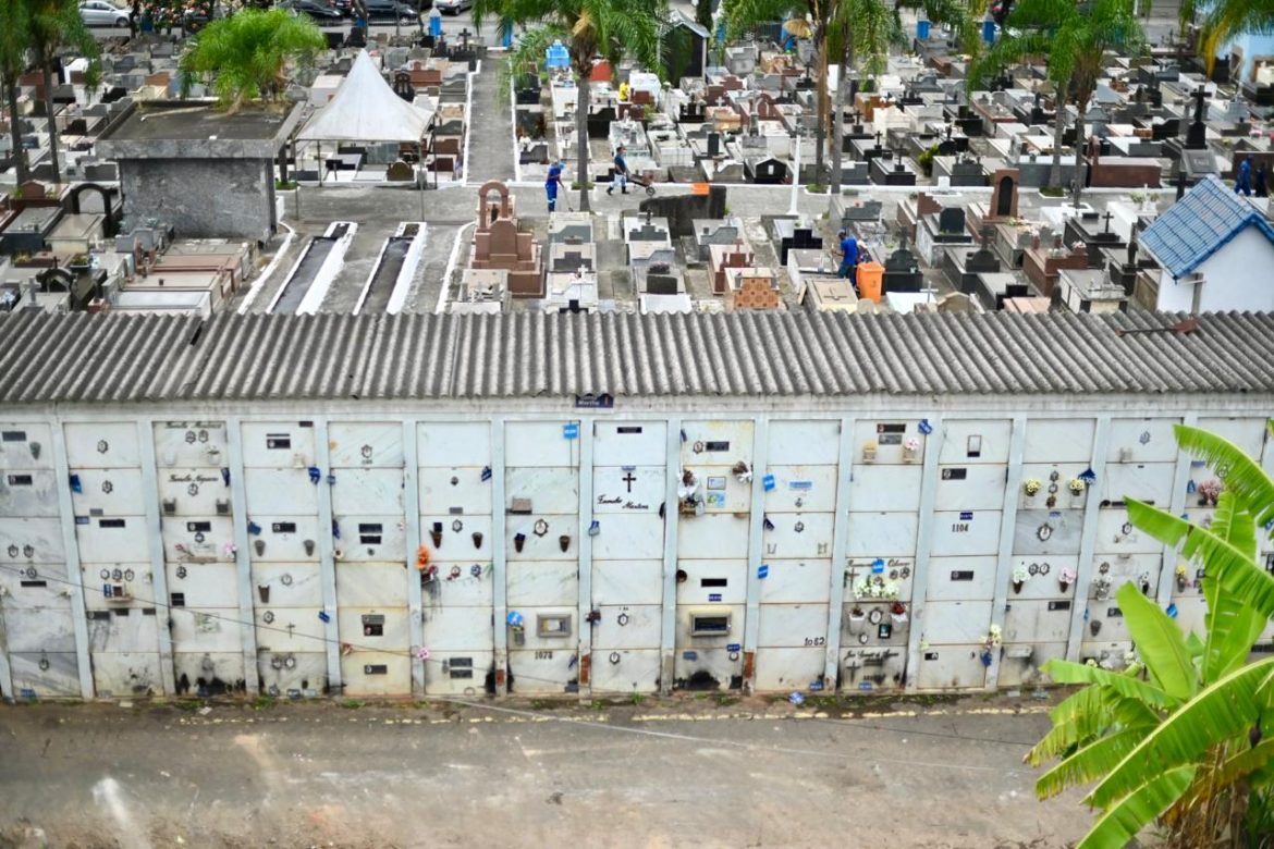 whatsapp image 2025 10 31 at 14.32.05 (1)