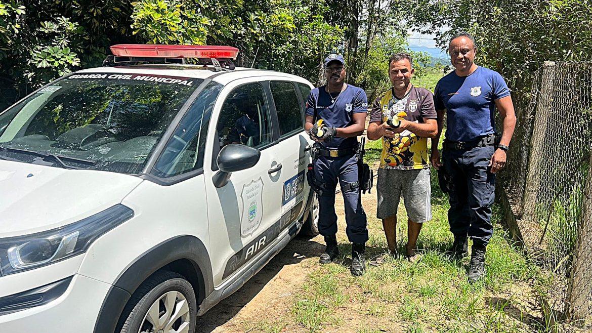 17.cf.res.cidades.agentes da guarda ambiental resgatam.divulgaÇÃopmpr