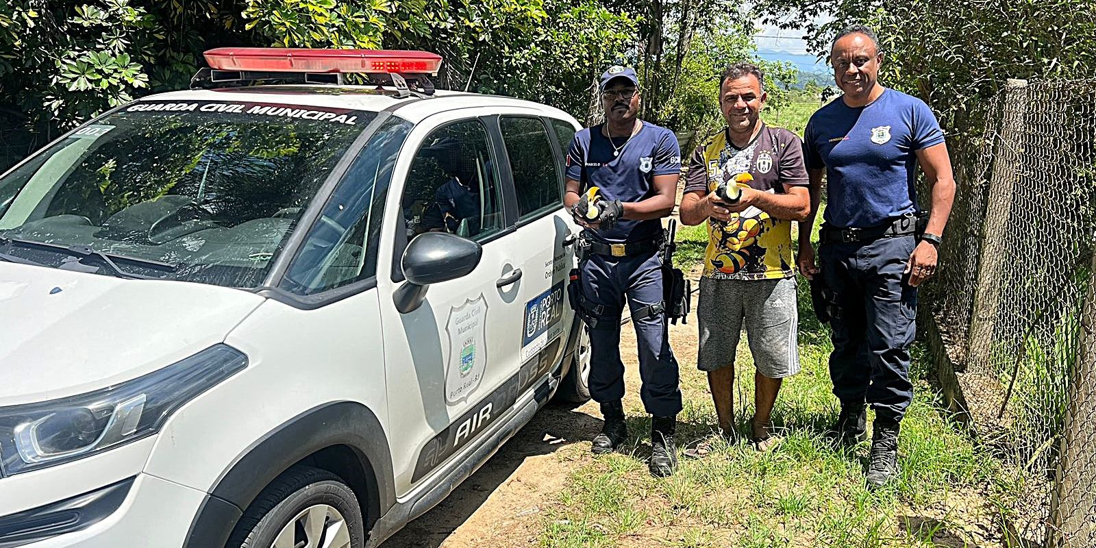 17.cf.res.cidades.agentes da guarda ambiental resgatam.divulgaÇÃopmpr