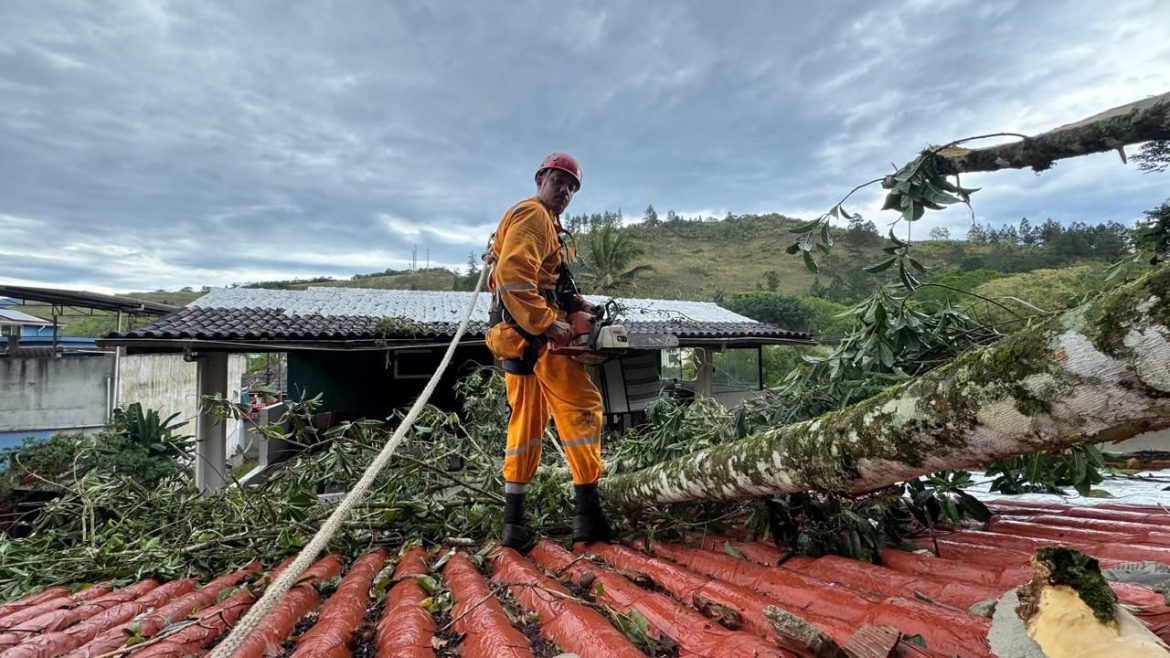 45 cidades queda de árvores na br 101 causa interdição na rodovia entre angra e paraty divulgação11