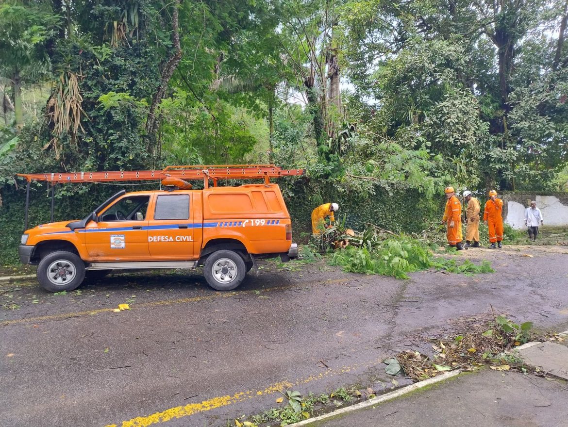 45 cidades queda de árvores na br 101 causa interdição na rodovia entre angra e paraty divulgação123
