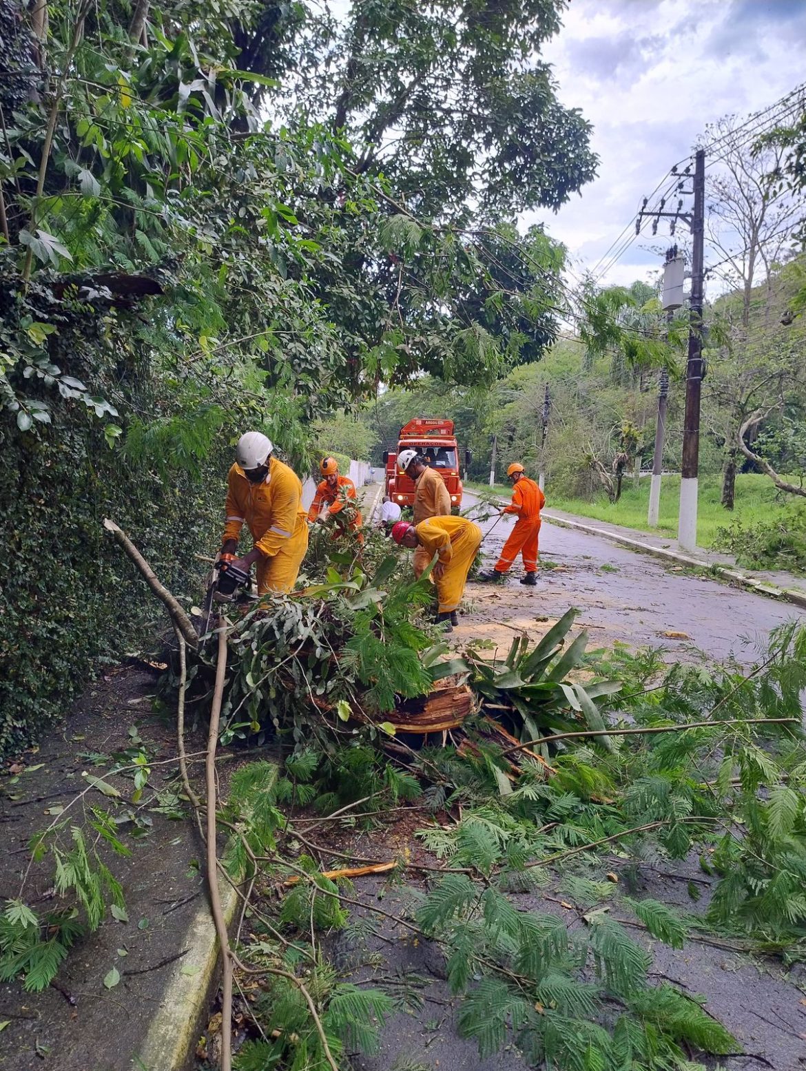 45 cidades queda de árvores na br 101 causa interdição na rodovia entre angra e paraty divulgação13