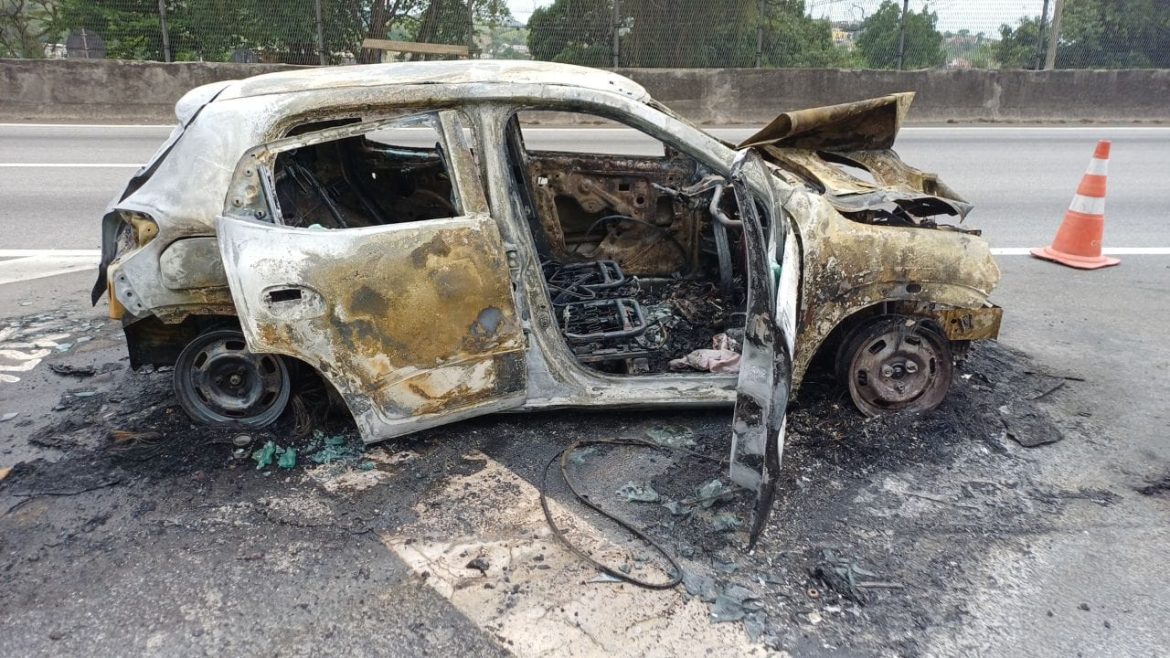 549f2a52 3058 40c3 bc45 920fee052b04