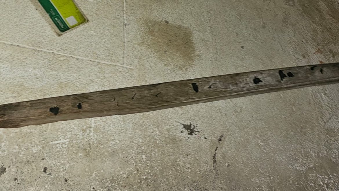 ca92cca9 7001 4de8 9479 d7855b270b35