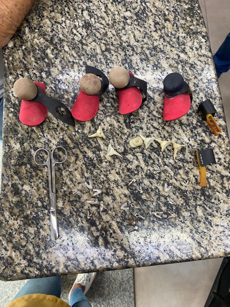 dezenas de aves são resgatadas em situação de maus tratos no bairro são luiz divulgação111 dezenas de aves são resgatadas em situação de maus tratos no bairro são luiz divulgação111