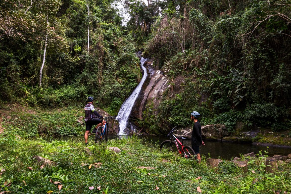 imagem do whatsapp de 2025 11 10 à(s) 14.55.38 0966197d