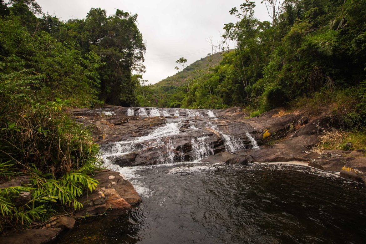 imagem do whatsapp de 2025 11 10 à(s) 14.55.38 768f78bb