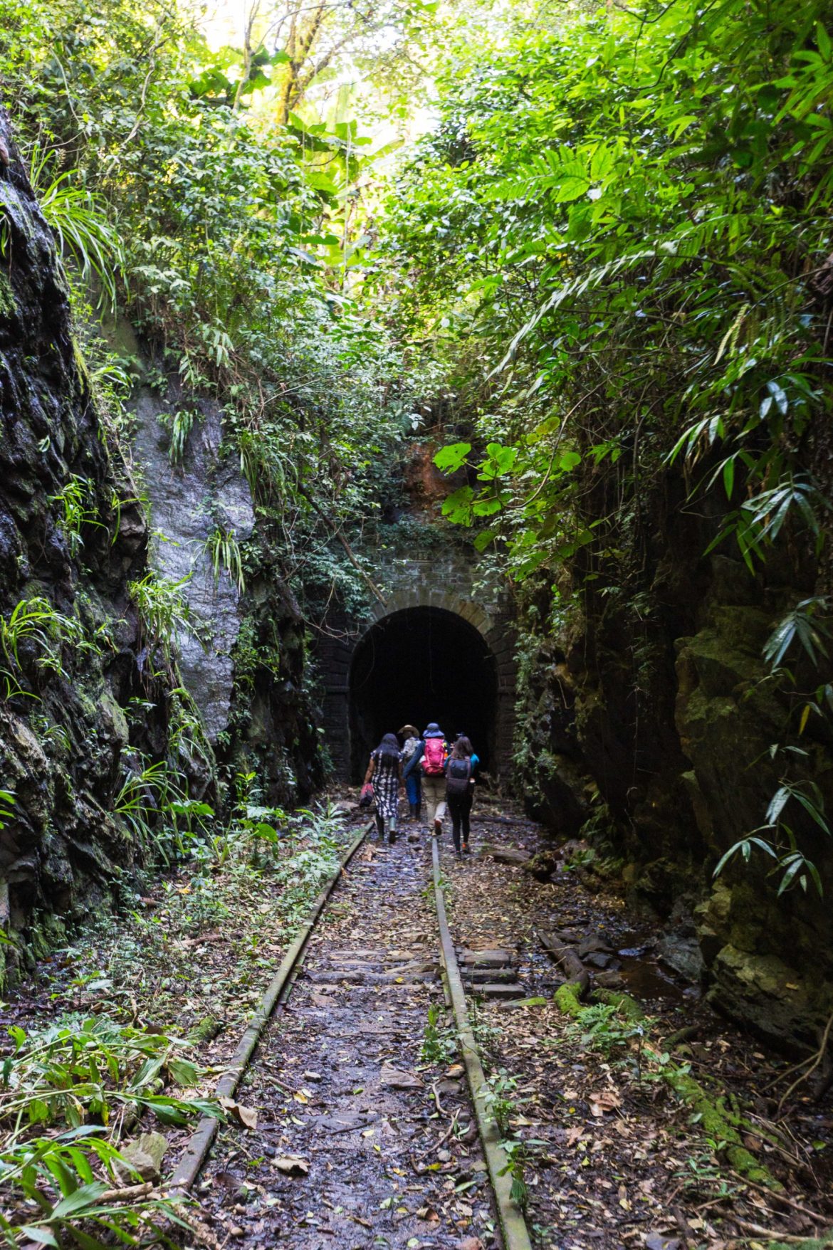 imagem do whatsapp de 2025 11 10 à(s) 14.55.38 9fdd8a5f