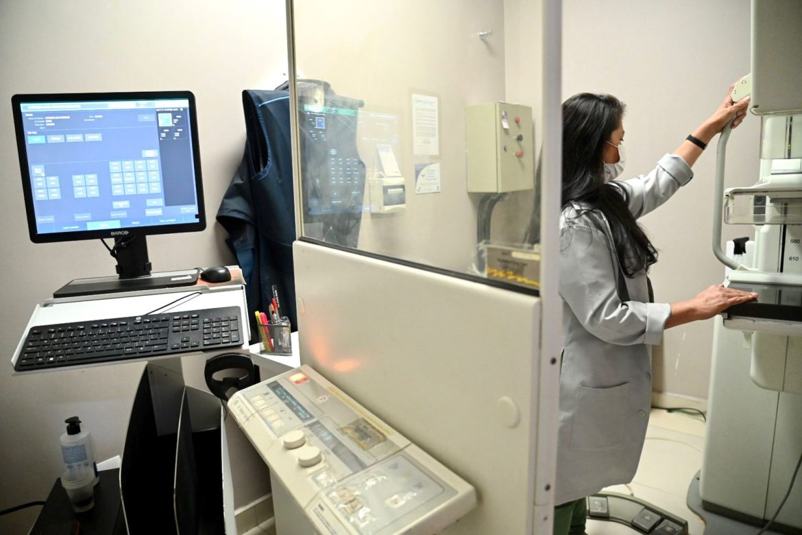 imagem do whatsapp de 2025 11 18 à(s) 15.04.29 94303347