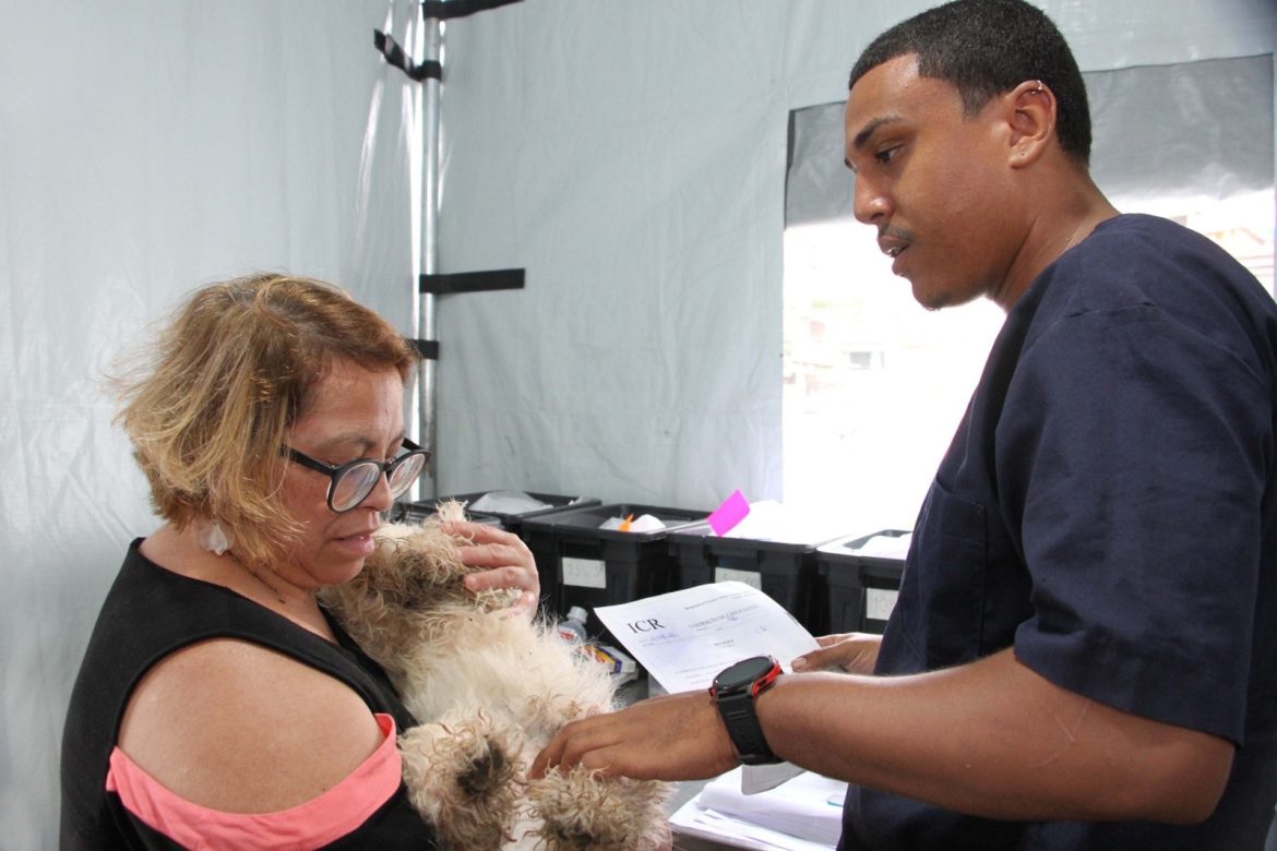 mais de 2.100 castrações realizadas em 2025 na clínica veterinária de barra mansa arquivo pmbm1 mais de 2.100 castrações realizadas em 2025 na clínica veterinária de barra mansa arquivo pmbm1