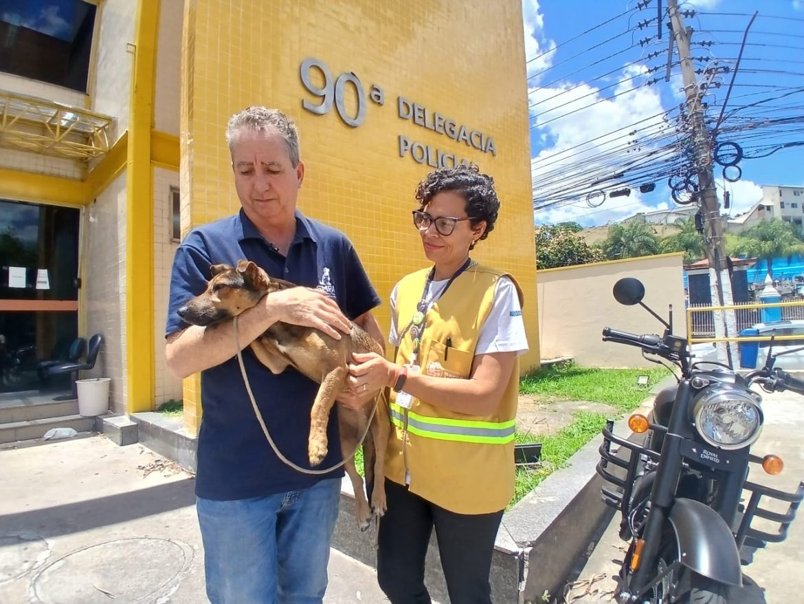 notas cÃo resgatdao em barra mansa paulo dimas1111